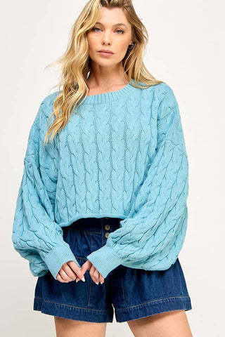 FIRST DIBS CableKnit WaistCrop CrewNeck Sweater Top