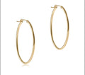 ENewton Oval Gold 2” Hoop Earring -Smooth