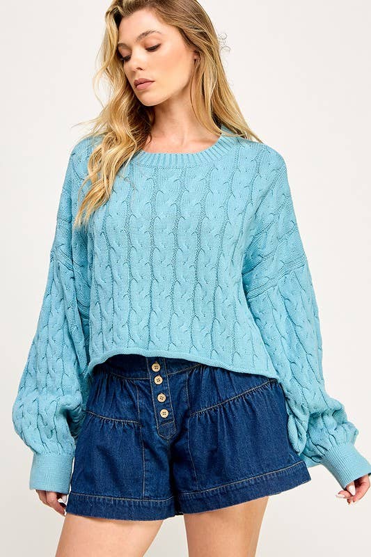 FIRST DIBS CableKnit WaistCrop CrewNeck Sweater Top