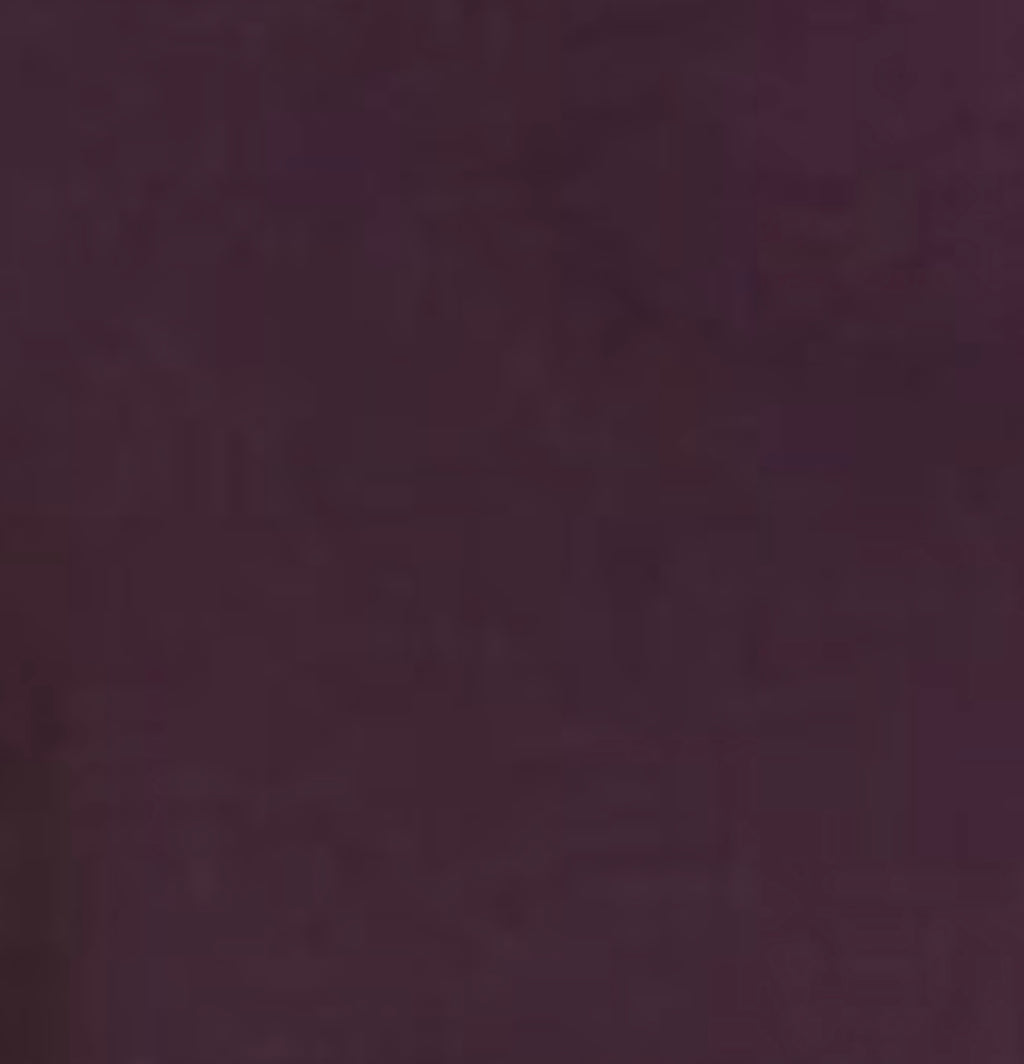 MICHAEL STARS Notch Neck TREASURE HiLo Top