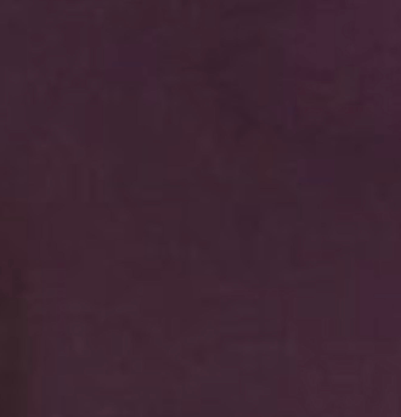 MICHAEL STARS Notch Neck TREASURE HiLo Top