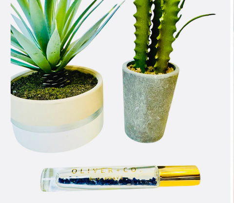 OLIVER + CO. Bougie BLU AGAVE Stick