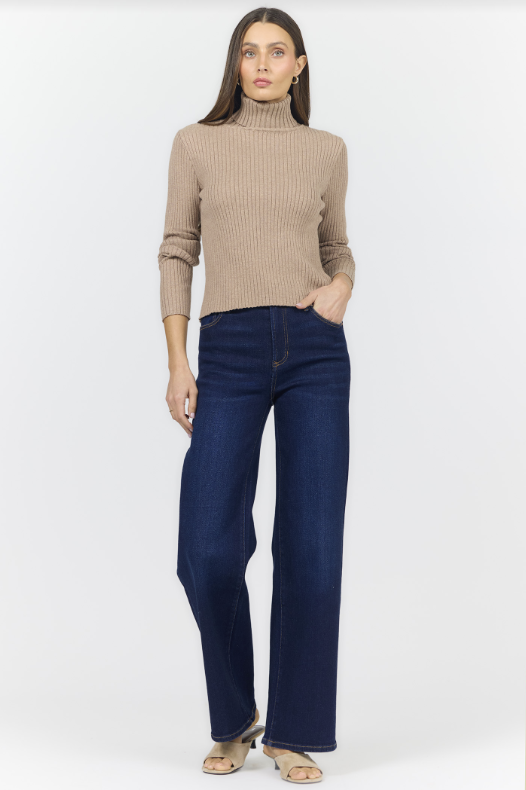 DEAR JOHN Arlen Turtle Neck Long Sleeve Top