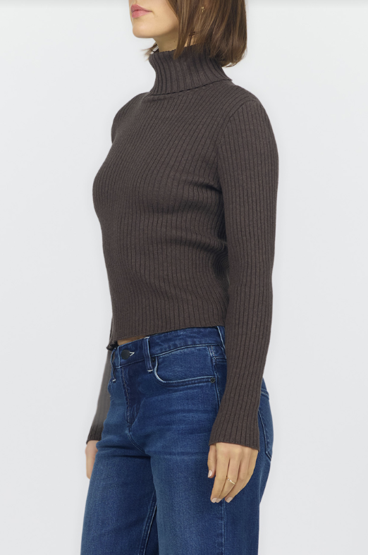DEAR JOHN Arlen Turtle Neck Long Sleeve Top