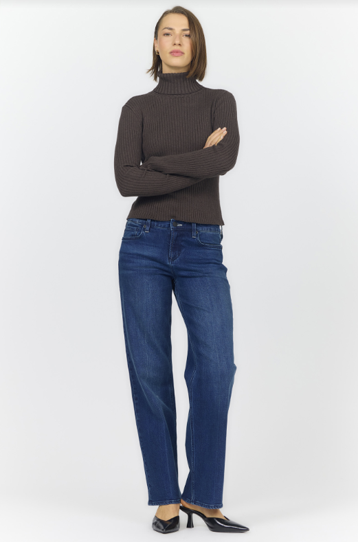 DEAR JOHN Arlen Turtle Neck Long Sleeve Top
