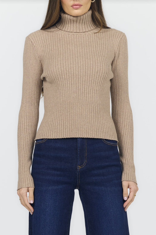 DEAR JOHN Arlen Turtle Neck Long Sleeve Top