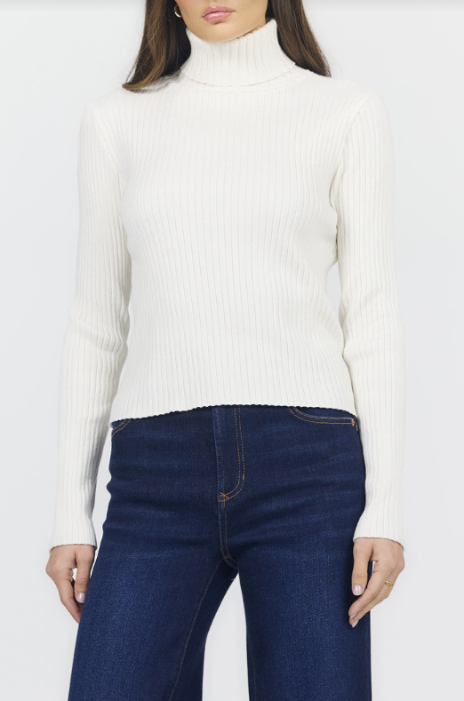 DEAR JOHN Arlen Turtle Neck Long Sleeve Top