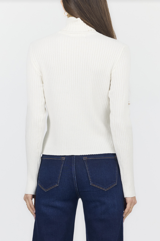 DEAR JOHN Arlen Turtle Neck Long Sleeve Top