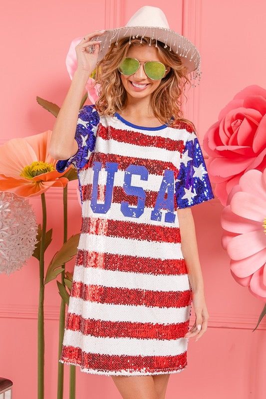 Dress Rosa Flag PATRIOT Sequin Flag Dress – Silver Accents