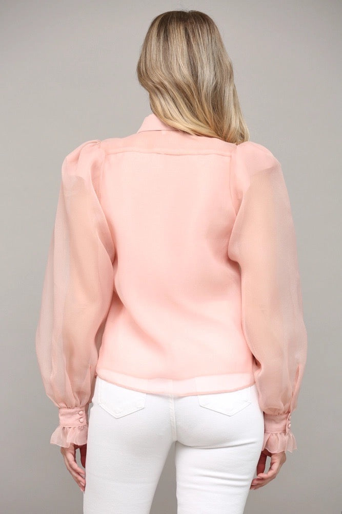 BROOK Frill Placket PuffSleeve Top