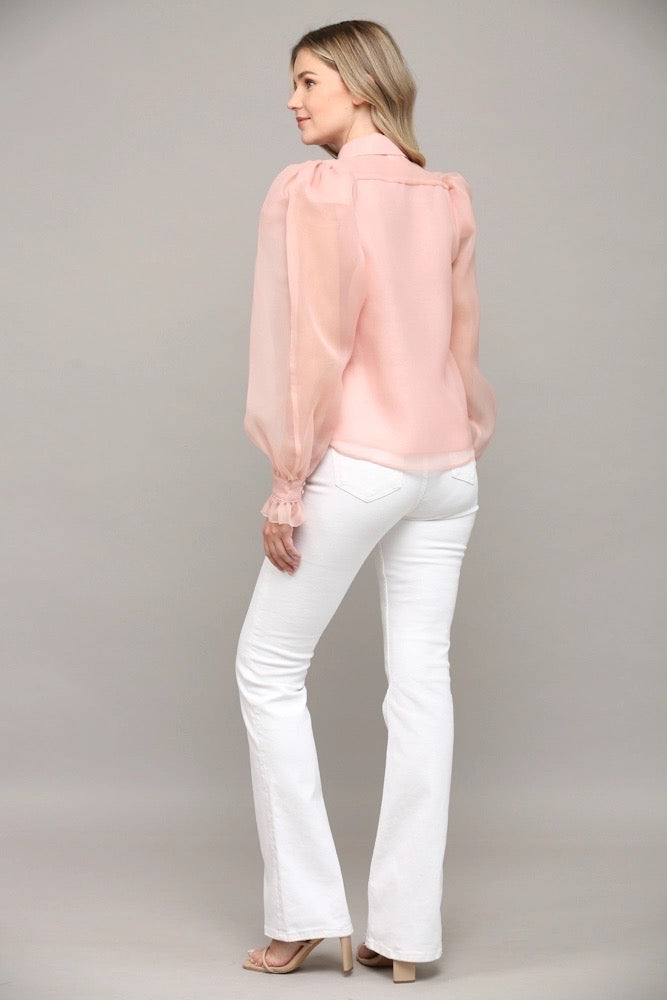 BROOK Frill Placket PuffSleeve Top