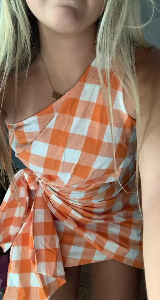 POSSE Gingham Plaid Tie Front Dress