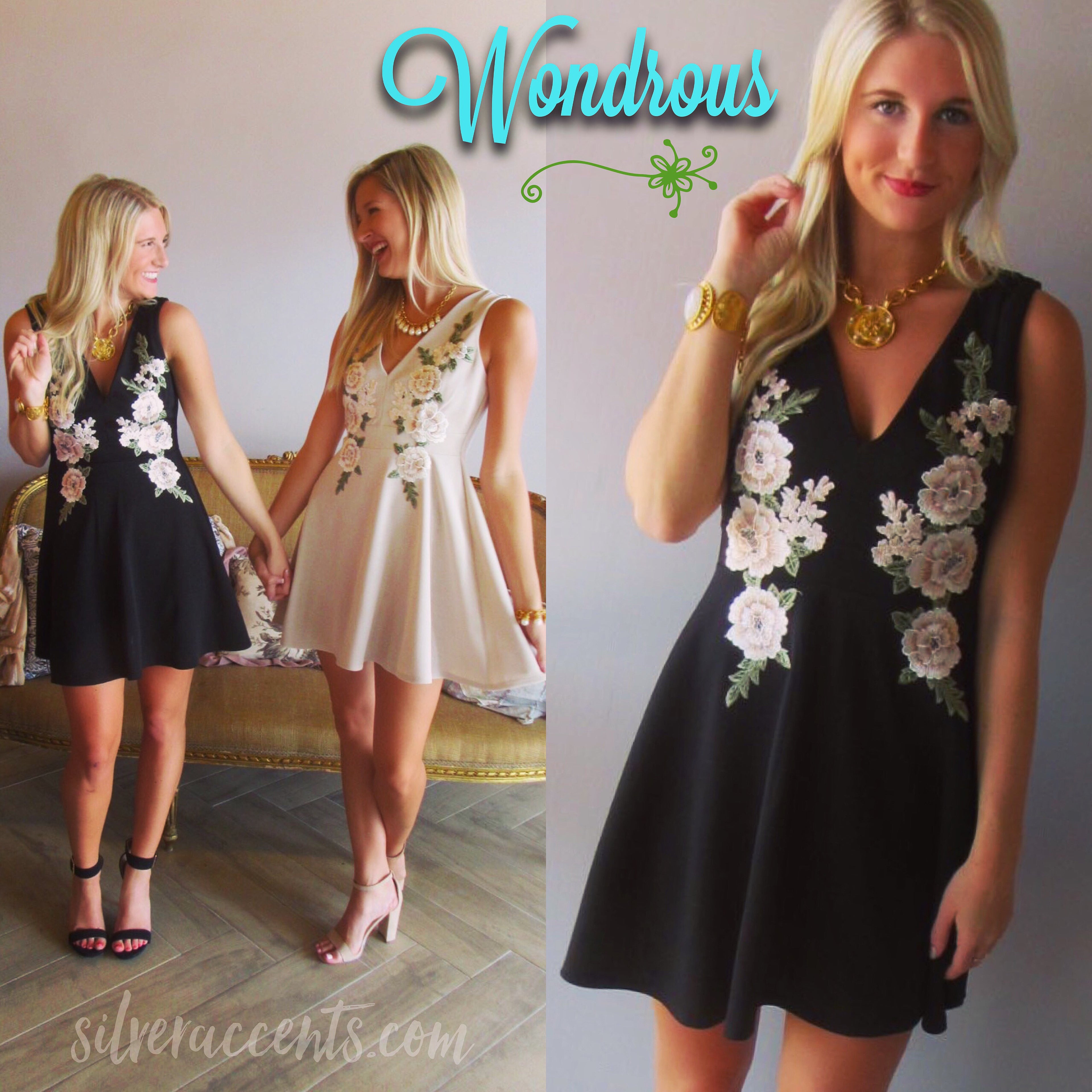 WONDROUS Floral Embroider Appliqué Skater Dress