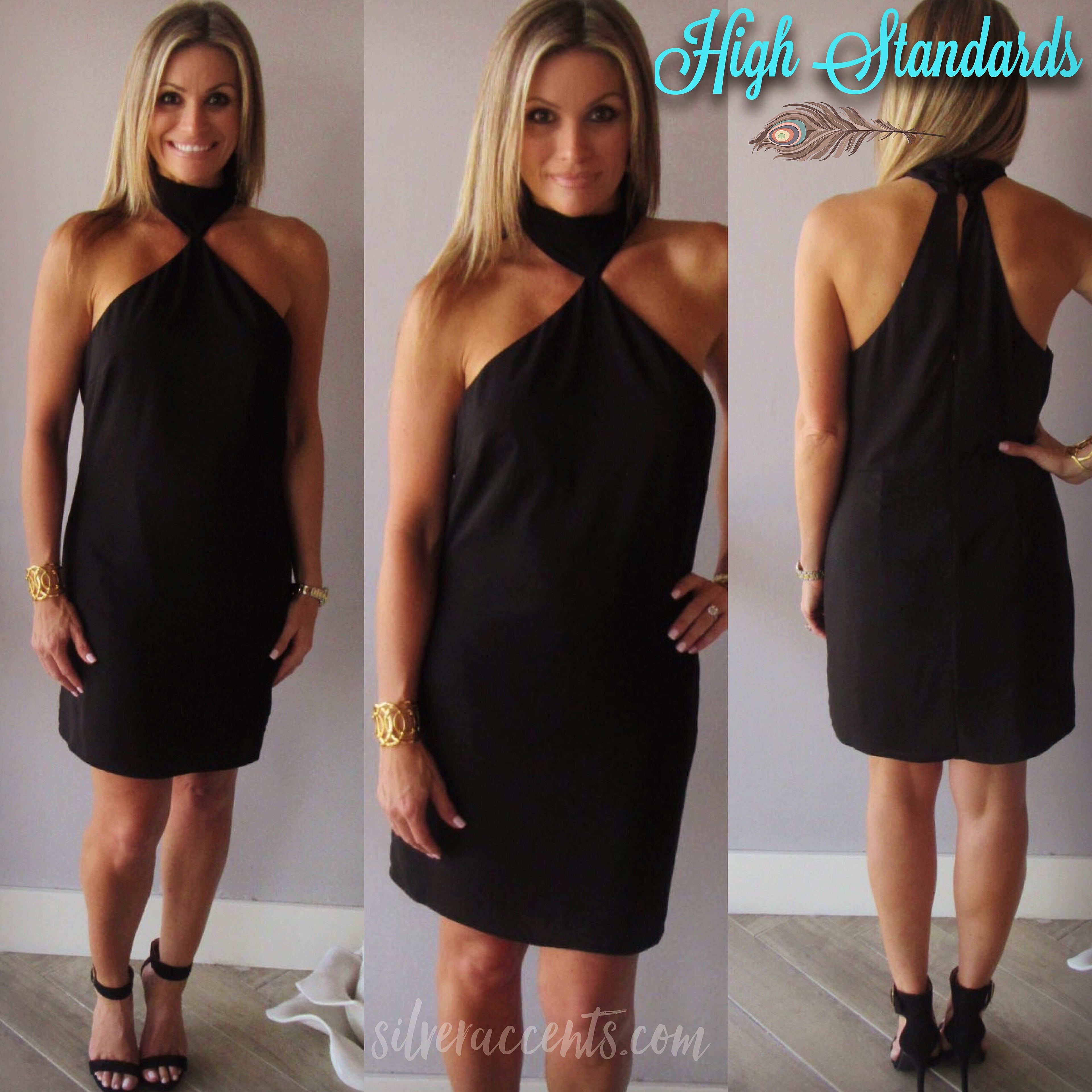 HIGH STANDARDS MockNeck Chiffon BodyCon Dress