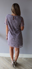 STRUCTURE Crochet Lace Short Sleeve Shift Dress