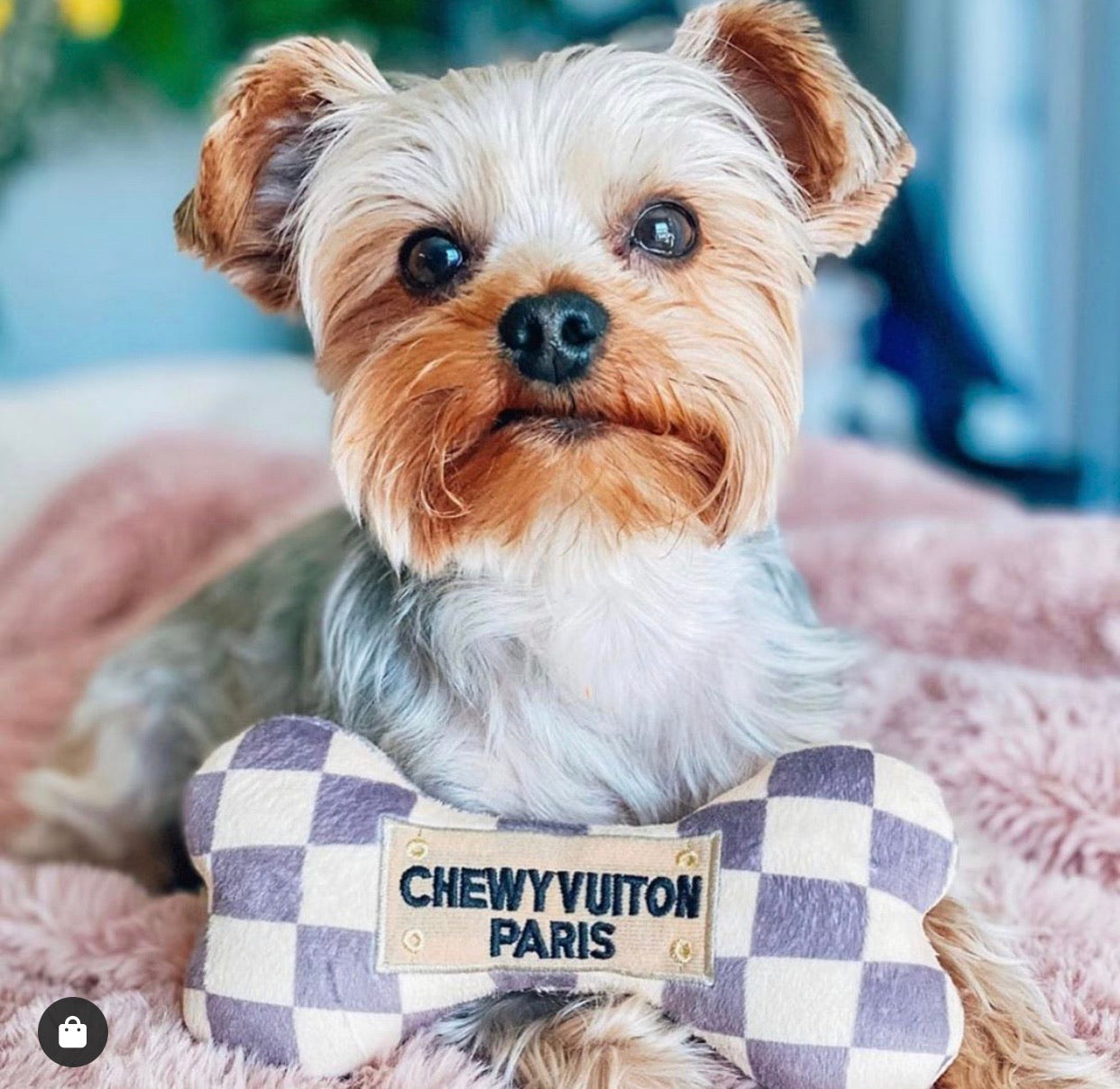 HDD CHEWY VUITON Squeaker Bone