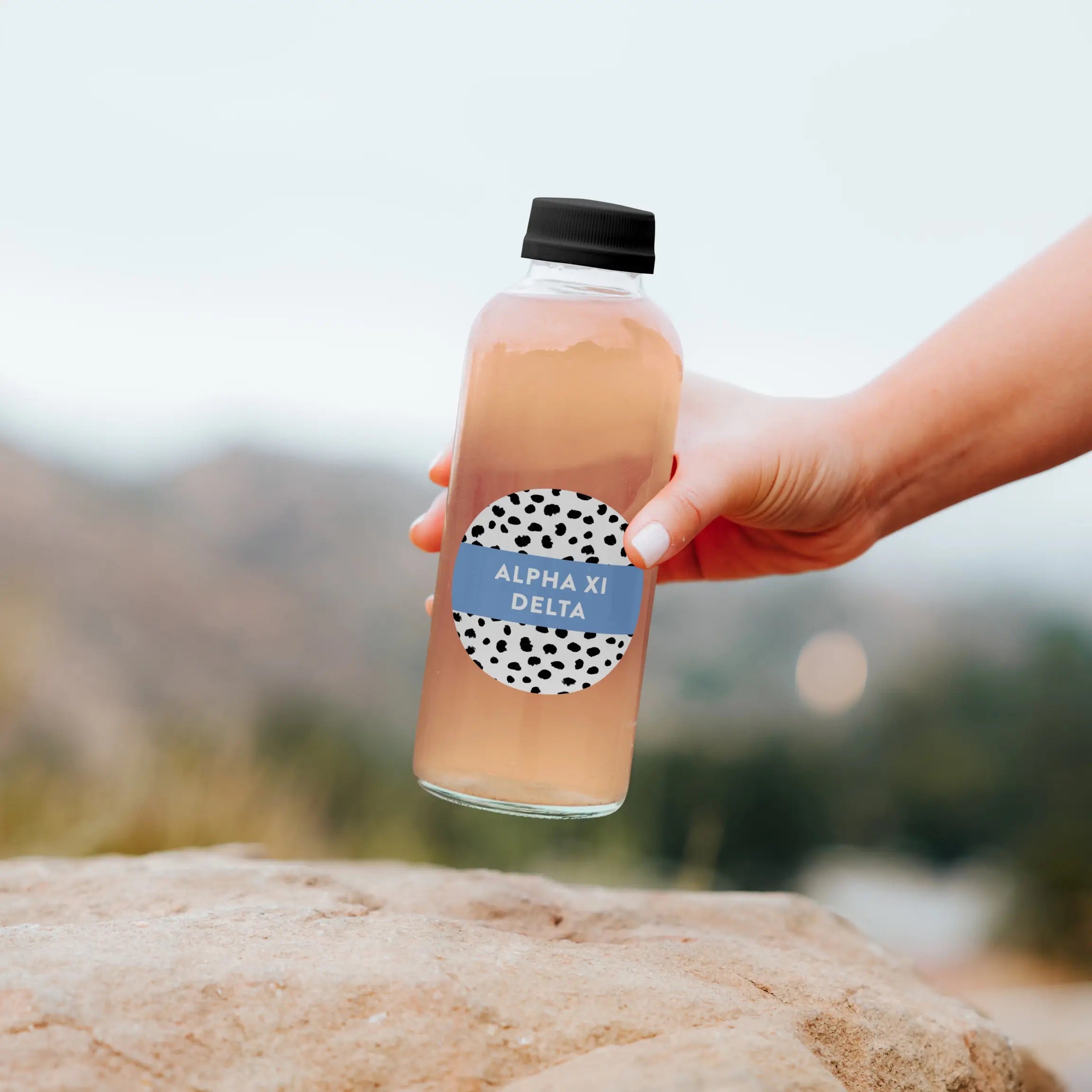 MS Sorority PATTERNED Greek Chic Sticker