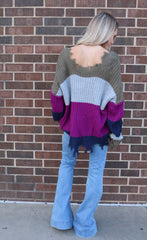 PALMETTO ColorBlock Stripe DistressedEdge Sweater Top