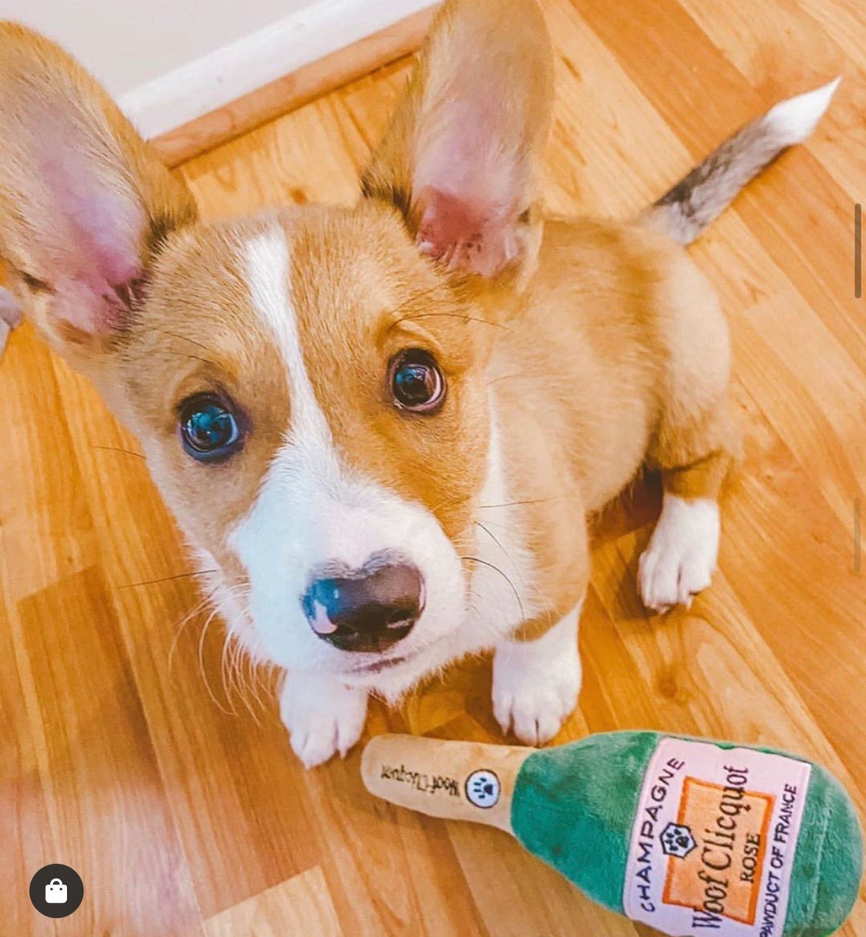 HDD WOOF Clicquot Rosé Champagne Bottle Squeaker Toy