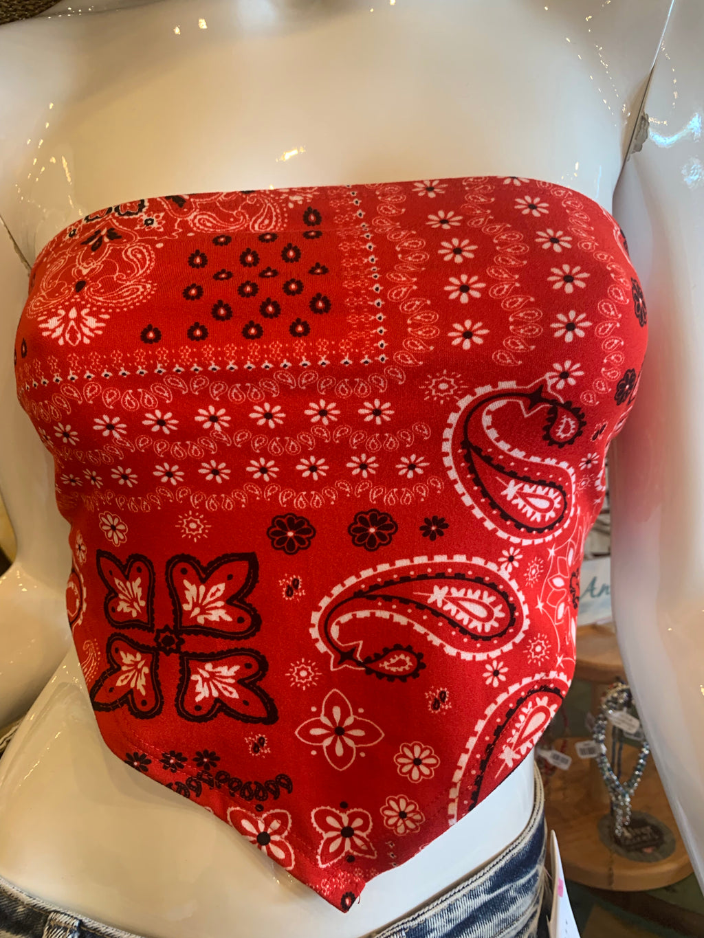 Paper Moon Liberty Bandana Print V~Hem Crop Top