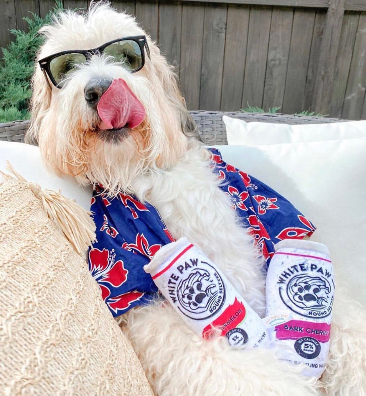 HDD WHITE PAW Can Squeaker Toy