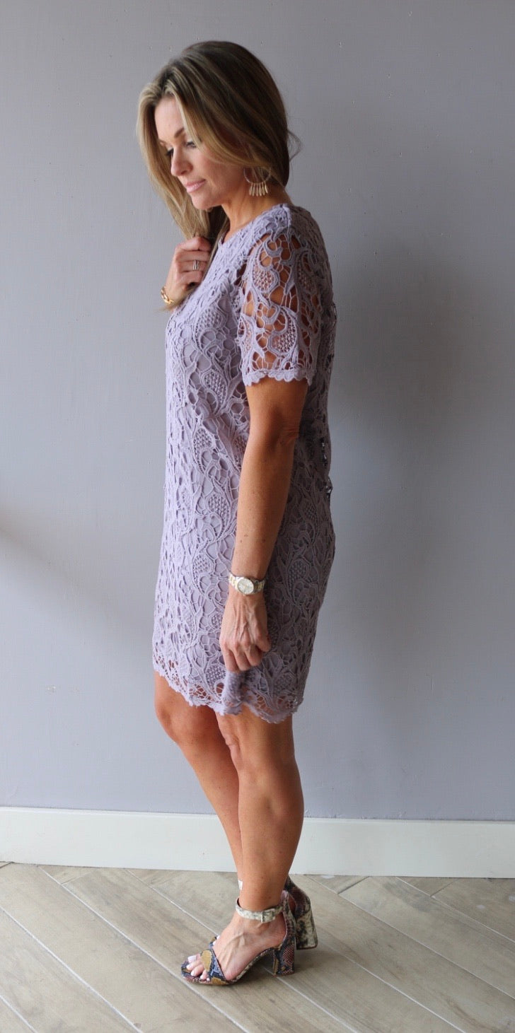 STRUCTURE Crochet Lace Short Sleeve Shift Dress