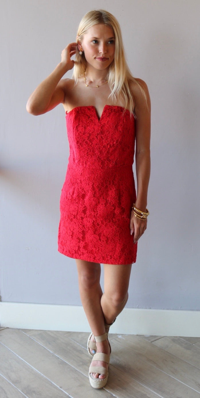 She&Sky REGARDS Lace Cutout Bust Strapless Bodycon Dress