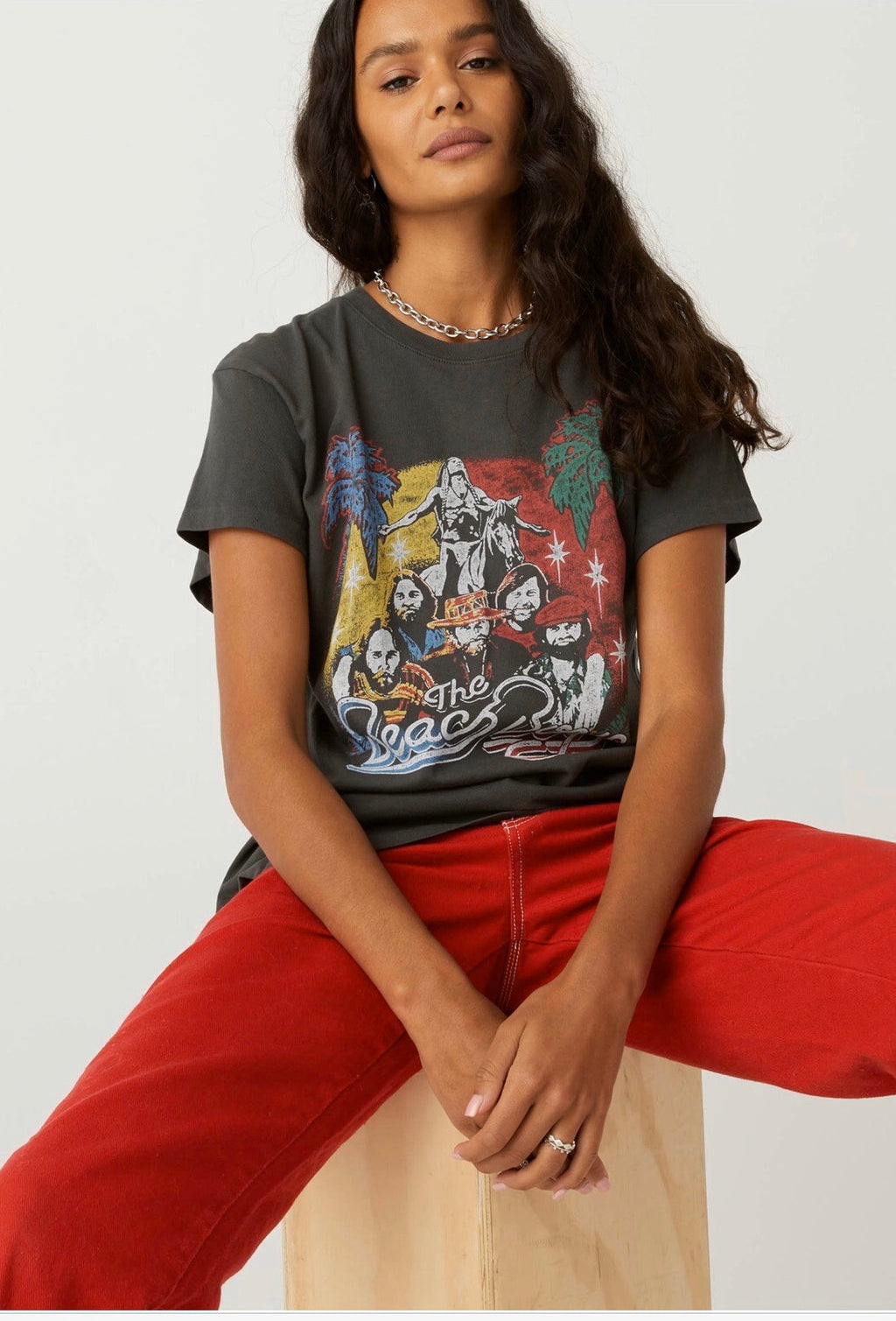 DAYDREAMER 1978 BEACH BOYS Tour Tee