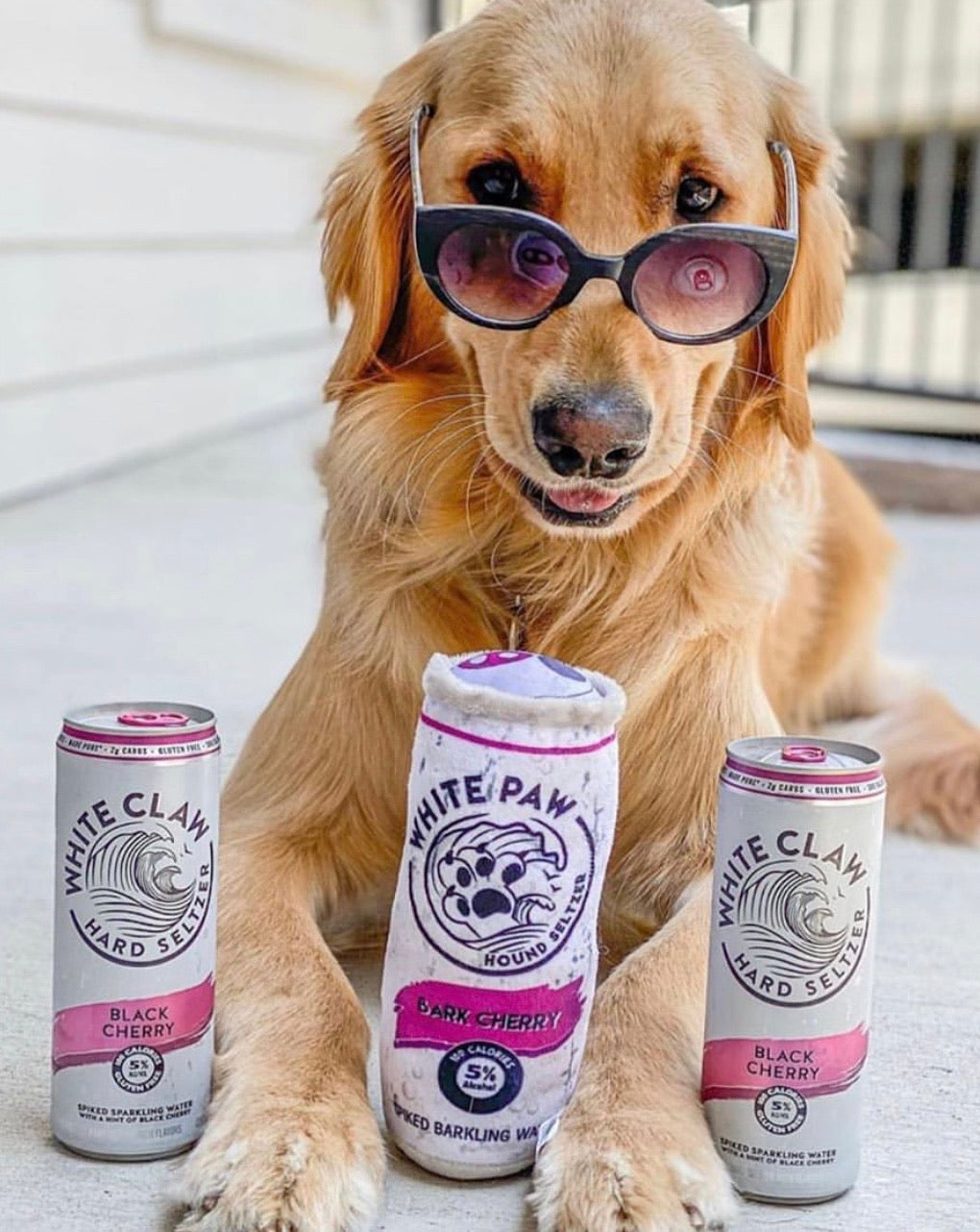 HDD WHITE PAW Can Squeaker Toy