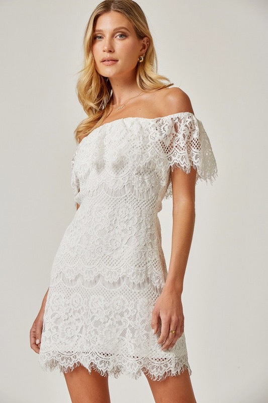 Andree TAYLOR Lace Off the Shoulder Dress