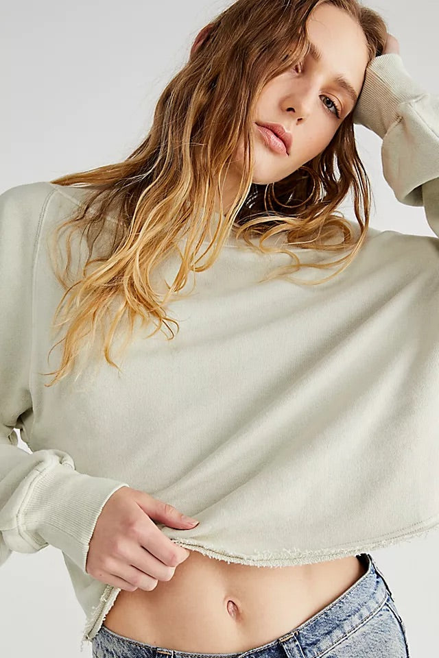 FREE PEOPLE Mineral Wash BRI Pullover