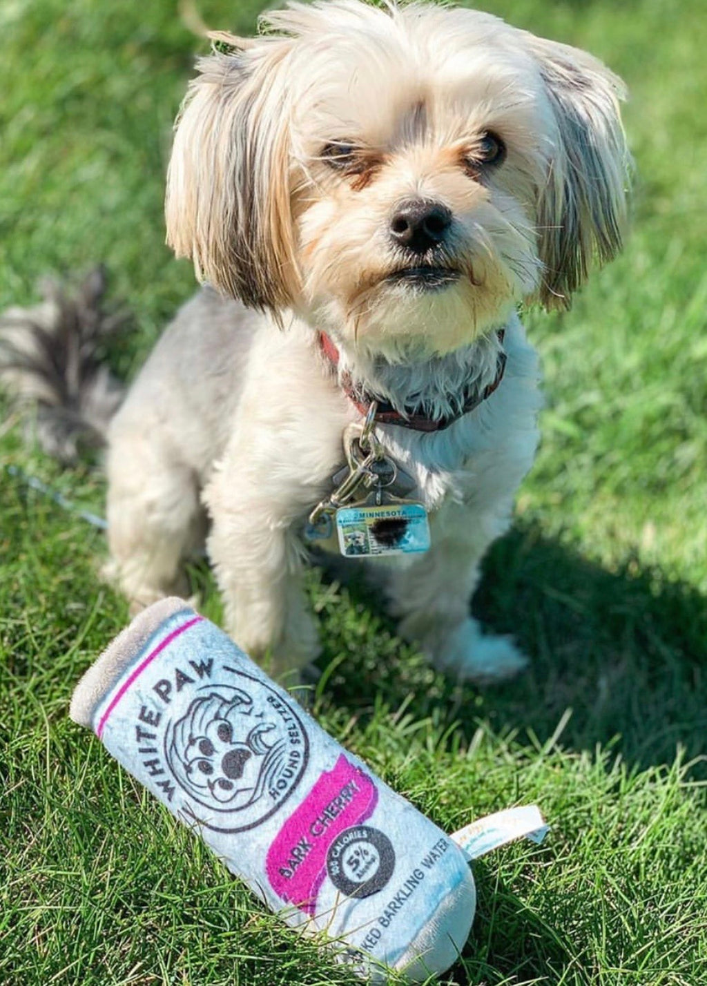 HDD WHITE PAW Can Squeaker Toy