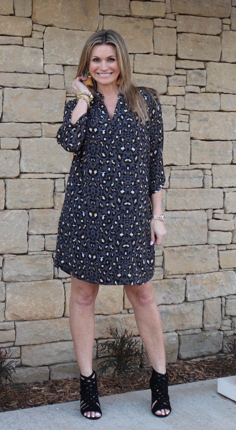 IMAGE Leopard RollSleeve Split VNeck Dress