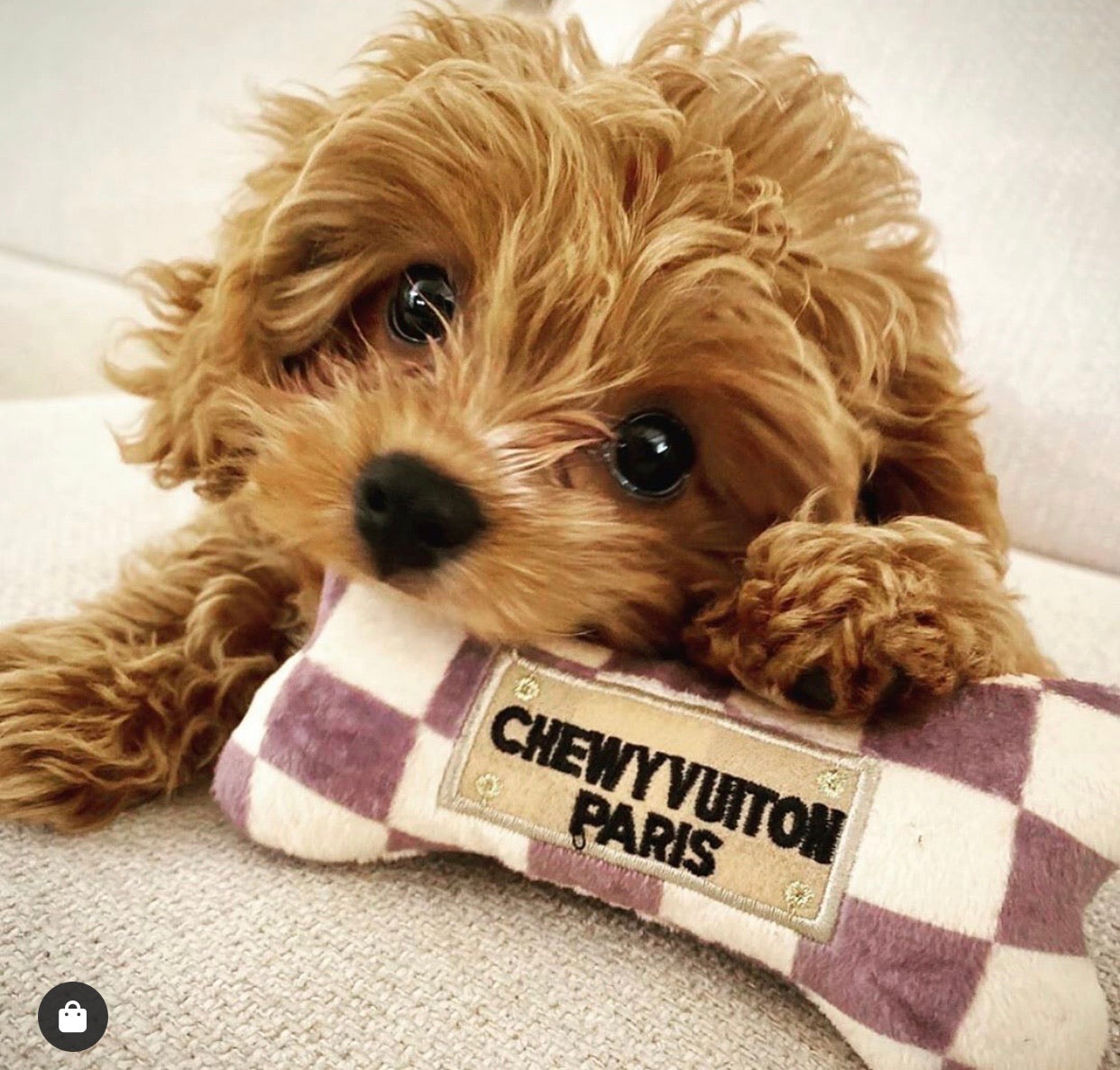 HDD CHEWY VUITON Squeaker Bone