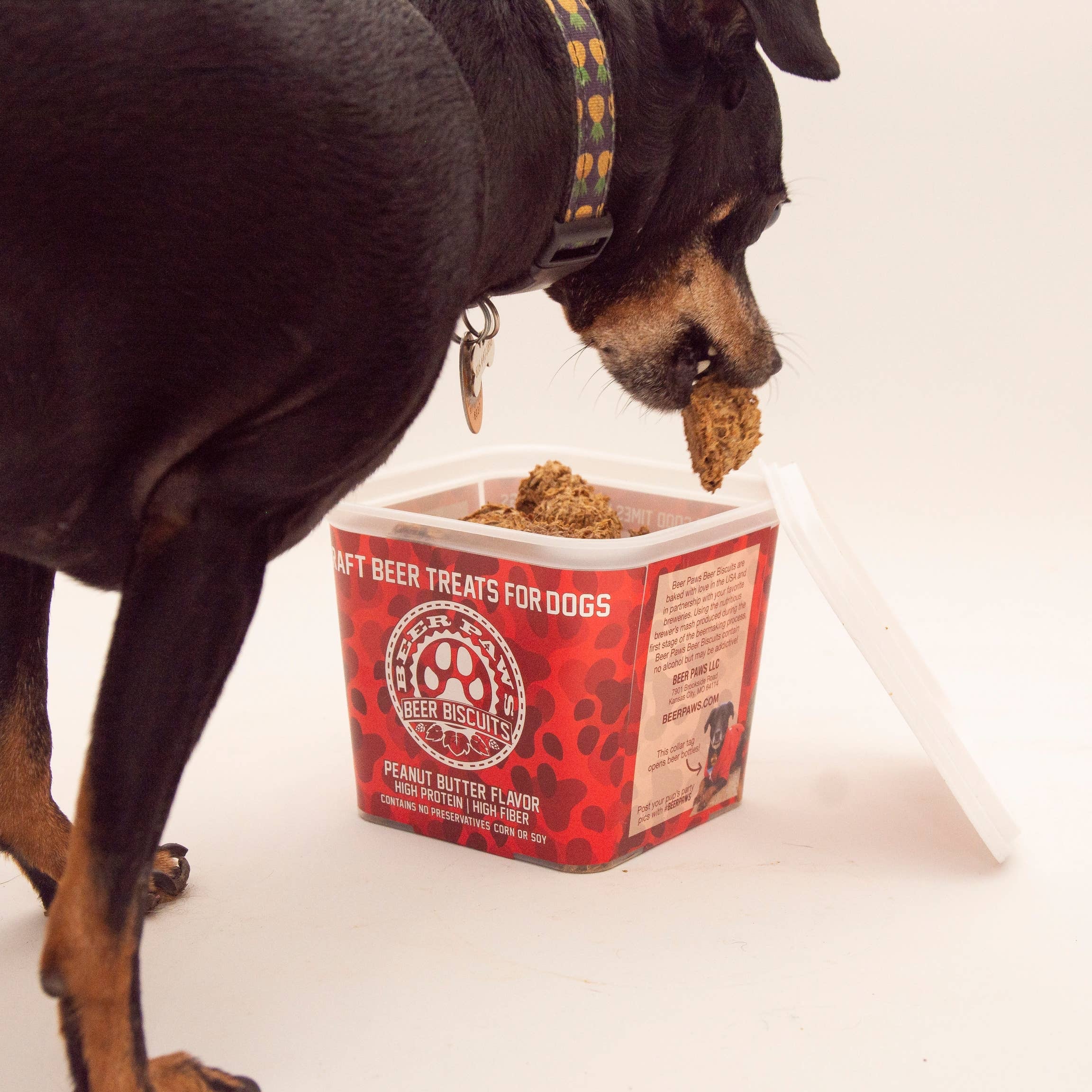 BEER PAW 12oz Craft Beer Dog Treat Tub