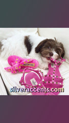 HDD WAGENTINO Sandal Squeaker Toy