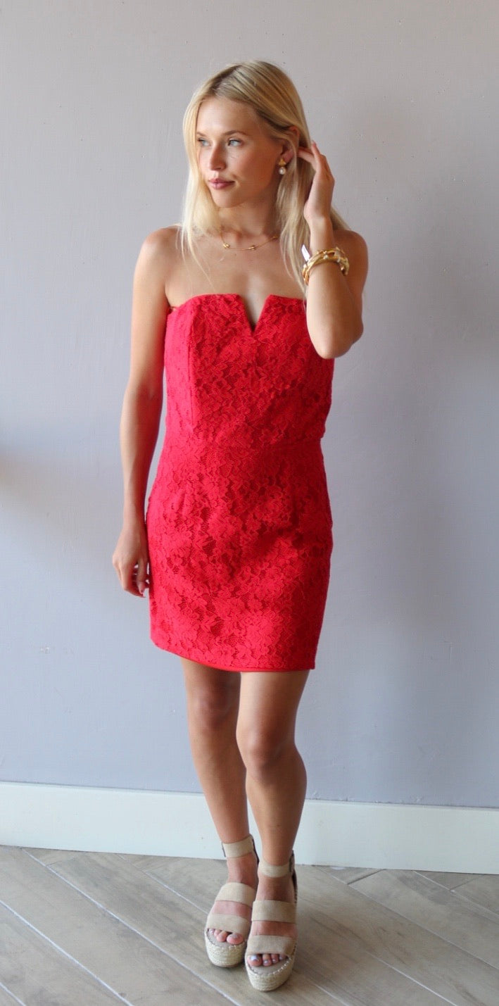 She&Sky REGARDS Lace Cutout Bust Strapless Bodycon Dress