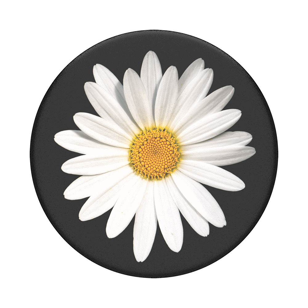 White Daisy POPSOCKET Swappable Top