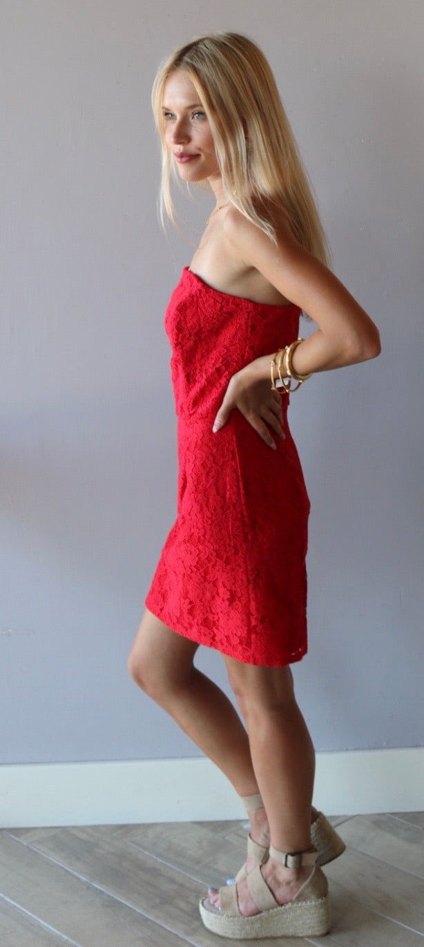 She&Sky REGARDS Lace Cutout Bust Strapless Bodycon Dress