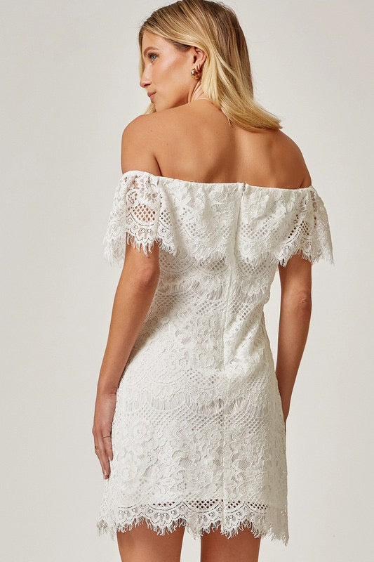 Andree TAYLOR Lace Off the Shoulder Dress