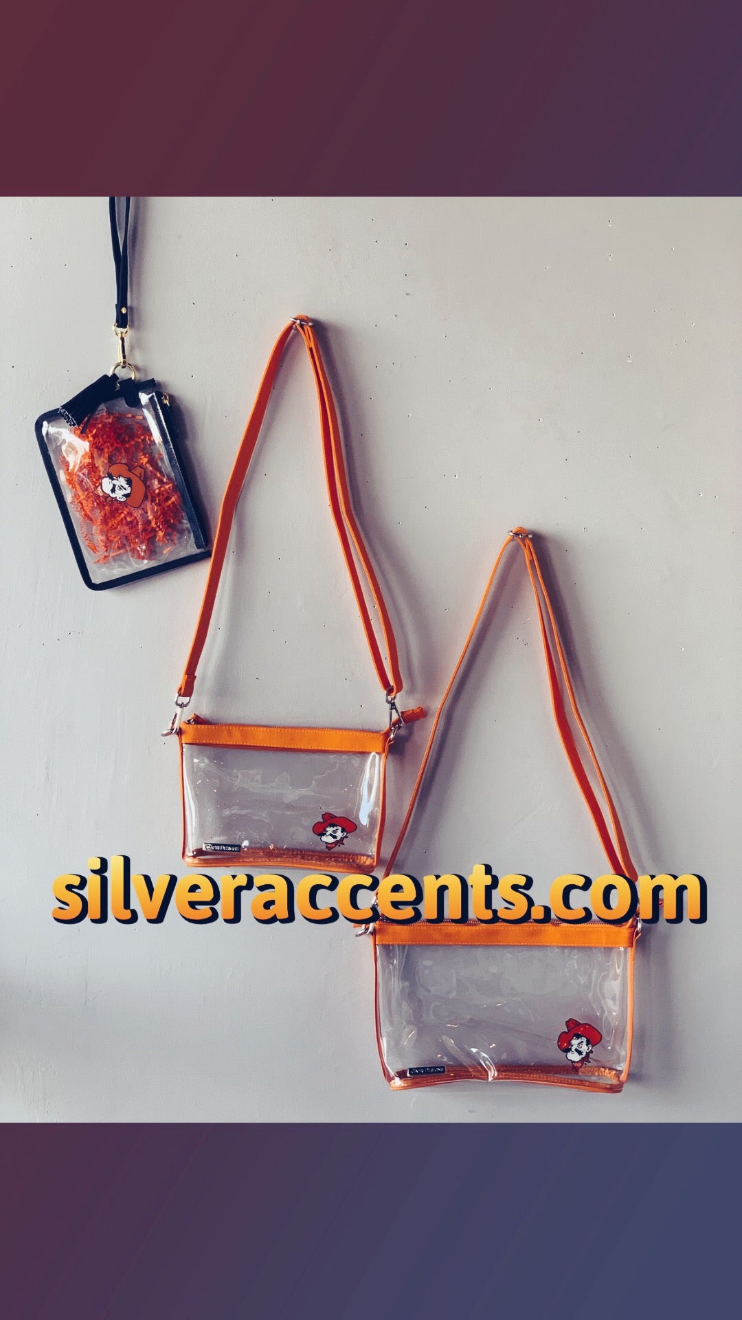 CD NCAA Logo Clear Small Crossbody Bag