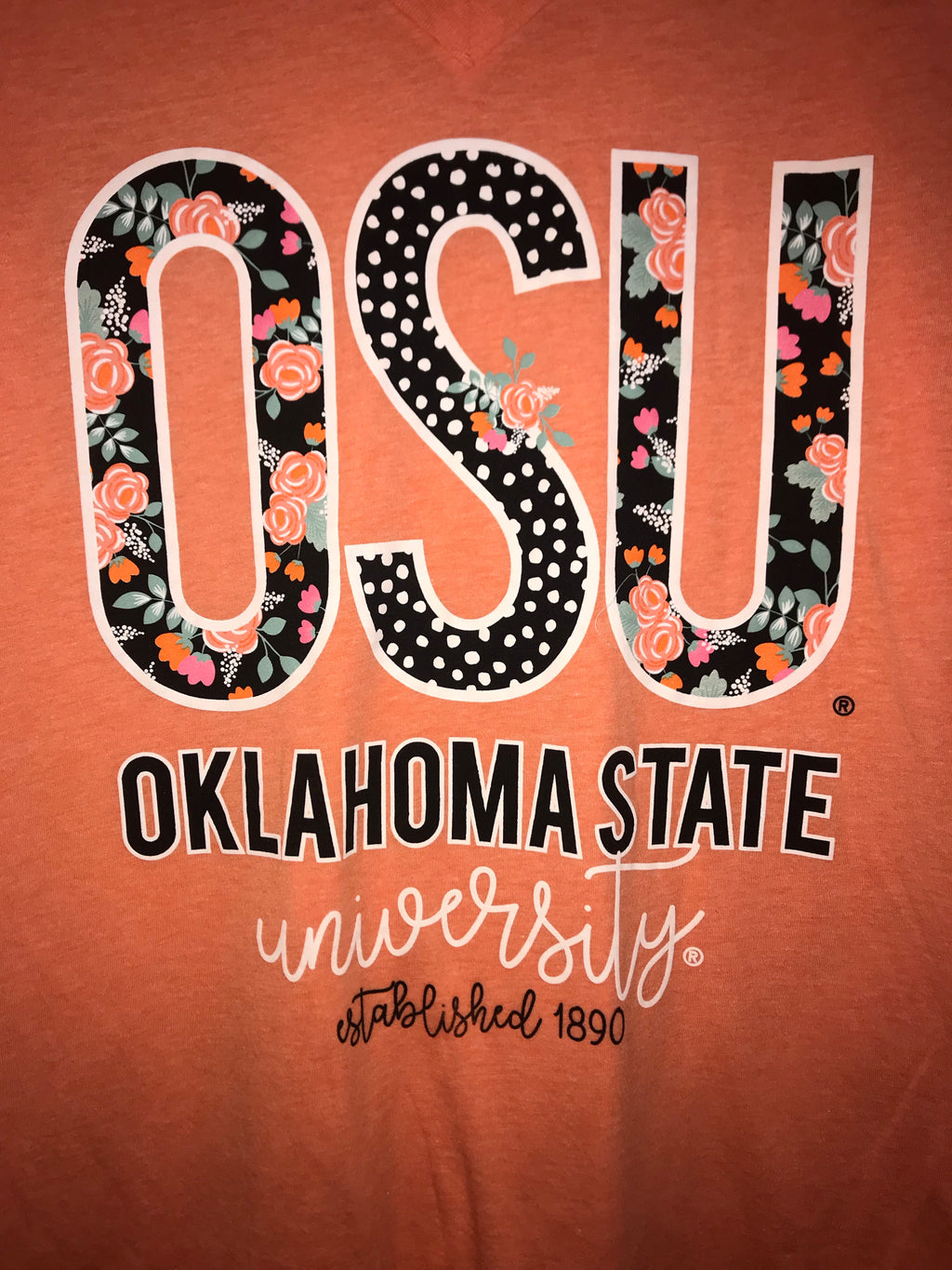 CALAMITY JANE Confetti & Floral V Neck OSU Tee Top