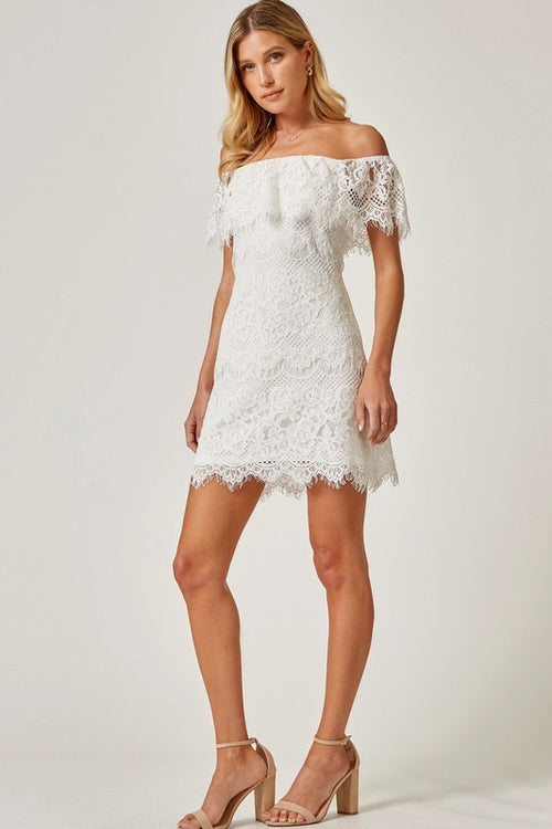 Andree TAYLOR Lace Off the Shoulder Dress