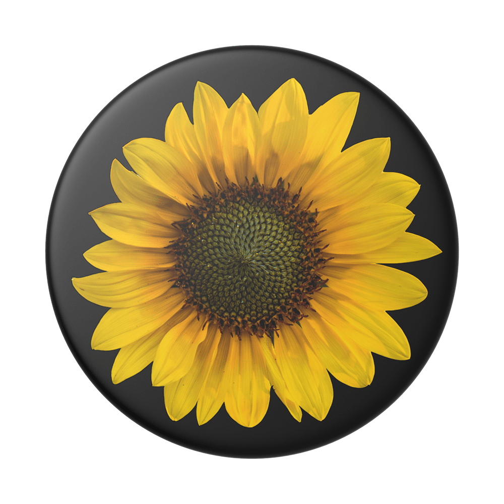 Seed Money POPSOCKET Swappable Top