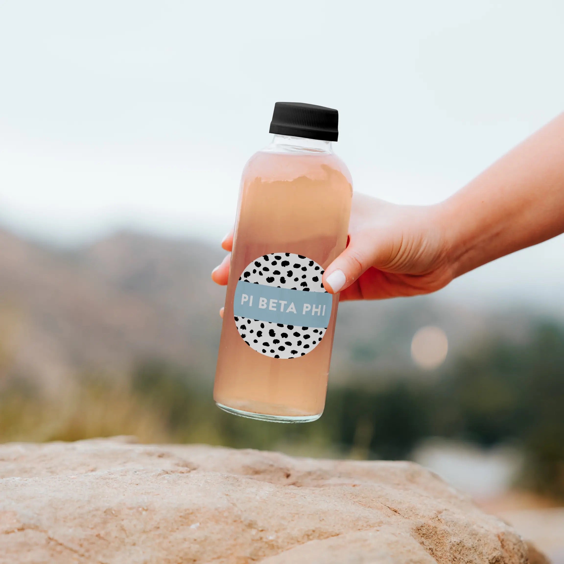 MS Sorority PATTERNED Greek Chic Sticker