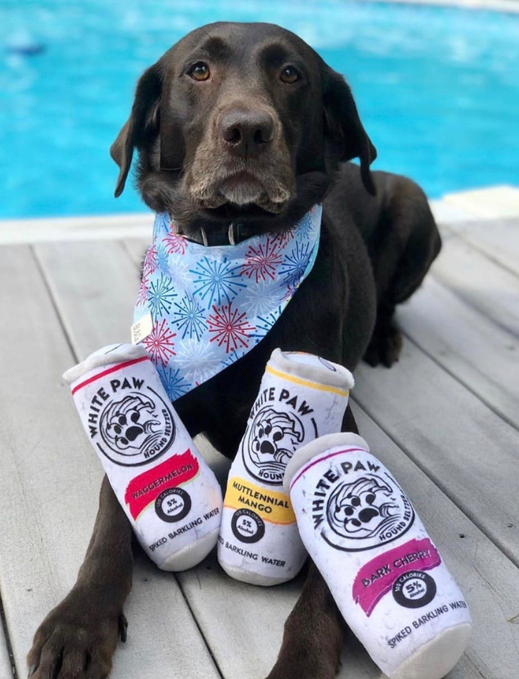 HDD WHITE PAW Can Squeaker Toy