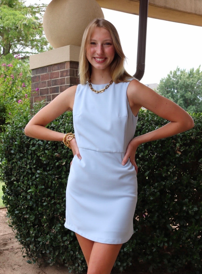 She&Sky COUNCIL Sleeveless Shift StretchKnit Dress