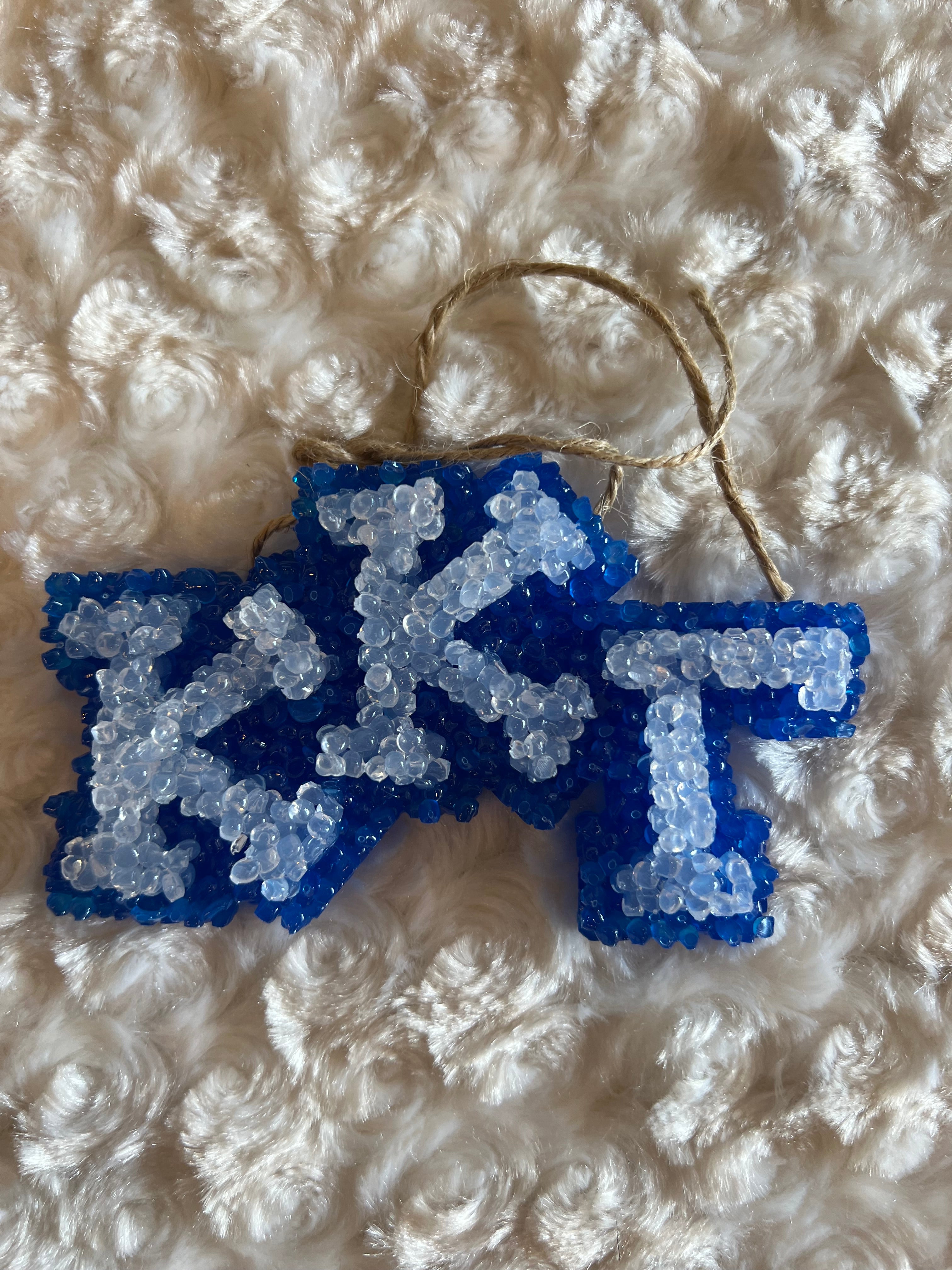 RGG Sorority Car FRESHIES