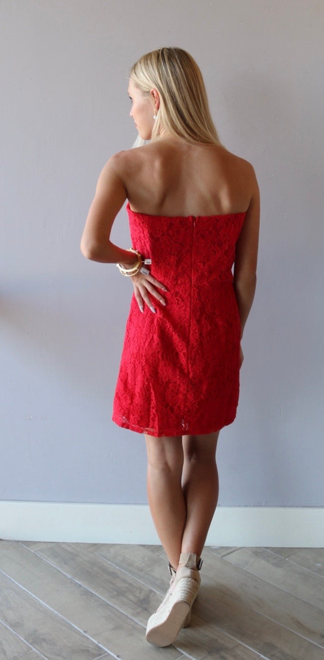 She&Sky REGARDS Lace Cutout Bust Strapless Bodycon Dress