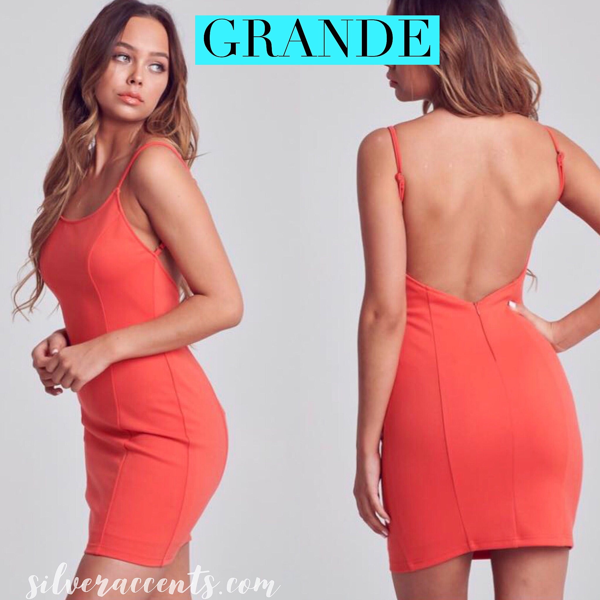Blue Blush GRANDE ScoopNeck V-Back Bodycon Dress